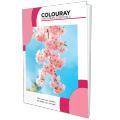 Colouray CR Book (60gsm) - 200 pgs Single Rule. 