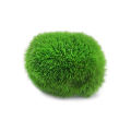 2-3cm Marimo Moss Balls Live Aquarium Plant Algae Fish Shrimp Tank Ornament. 