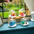 Flower Pot Transparent Hanging Glass Vases Ball Clear Succulents Ball Container 6/8/10/12/15cm Borosilicate Glass Glass Planter Garden. 