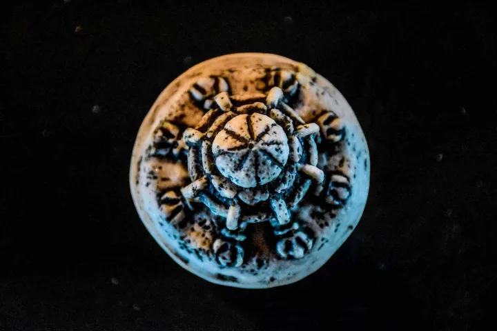 Punkalasa%20(Large)%20-%20Image%203