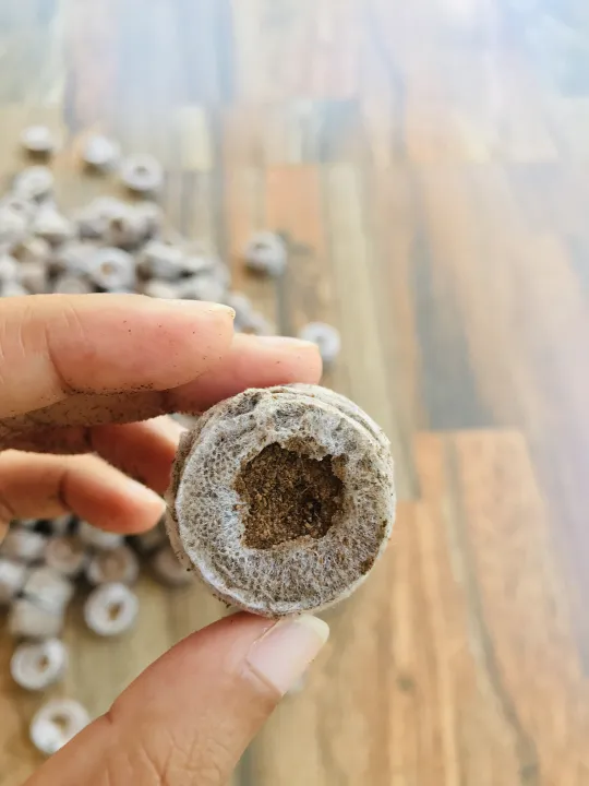 Coco%20pallet/Cocopel%20-%20Image%207