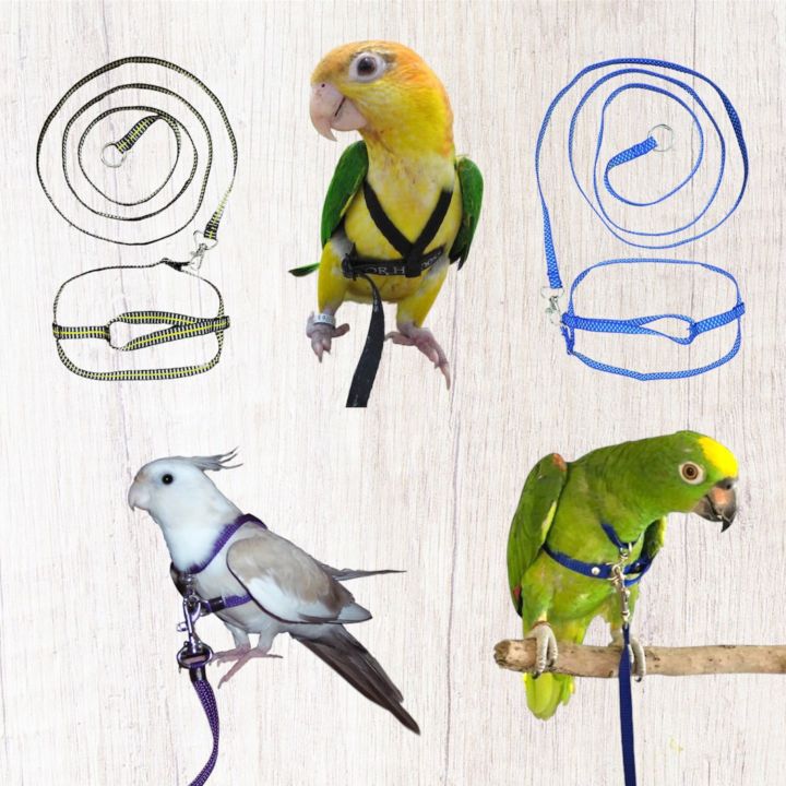 Adjustable%20Bird%20Harness%20With%20Leash%20Parrot%20Harness%20Pigeon%20Harness%20145cm%20Length%20Leash%20-%20Image%202