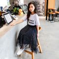 Girl's Miniskirt Mid-Length 2024 Summer New Middle and Big Children Korean Style Starry Skirt Overknee Dress Mesh Skirt. 