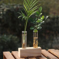 Plant Terrarium With Wooden Stand Rack Glass Test Tube Vase Holder Test Tube Vintage Wood Frame Hydroponic Plants Glass Pot Glass Vase. 