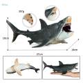 Painted Shark Action Figures Megalodon Model Playset Realistic Creature Shark Toy for Collection. 