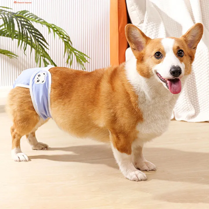 Female%20Dog%20Heat%20Pants%20Breathable%20Dog%20Diapers%20for%20Small%20to%20Medium%20Dogs%20Pet%20Menstrual%20Pants%20Sanitary%20Panties%20Period%20Pads%20Underwear%20Ideal%20-%20Image%203