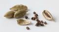 Cardamom Seeds 25g | Natural Elaichi Dana | Elakkai Vidhai. 