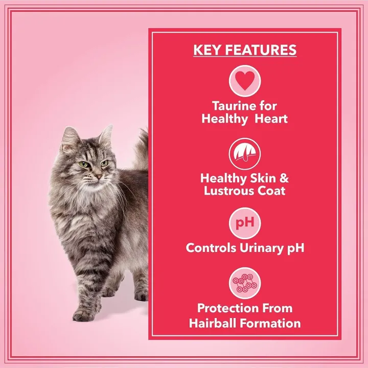 Let's%20Bite%20Active%20cat%20Food%20for%20Adults%20(400G%20X%204%20Packs)%20-%20Image%202