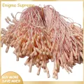Enigma- Hang Tag Strings Tear-resistance Clothes Gift Bags Price Tags Strings with Snap Lock. 
