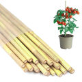 Bamboo Plant Stakes 20 Pcs Bamboo Plant Support Stakes for Orchid Tomato Vegetables Natural Bamboo Sticks for Climbing Plants Reusable Garden Poles Strong Garden Stakes. 