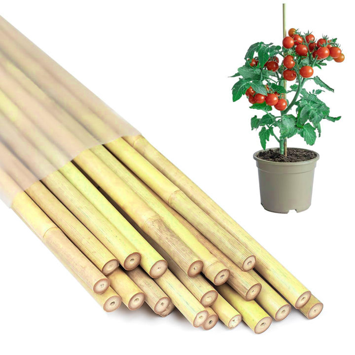 Bamboo%20Plant%20Stakes%2020%20Pcs%20Bamboo%20Plant%20Support%20Stakes%20for%20Orchid%20Tomato%20Vegetables%20Natural%20Bamboo%20Sticks%20for%20Climbing%20Plants%20Reusable%20Garden%20Poles%20Strong%20Garden%20Stakes%20-%20Image%205