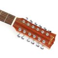 Deviser 12 String Semi Acoustic Guitars. 