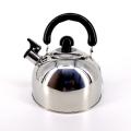 Rich Stainless Steel Whistle Kettle 1.2L 1.6L 2L 2.2L 3L. 