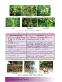 Grade 10 Aquatic Bioresources Technology textbook | Sinhala Medium – New Syllabus. 