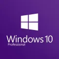 Windows 10 Professional (Pre-Activated) bootable DVD. 