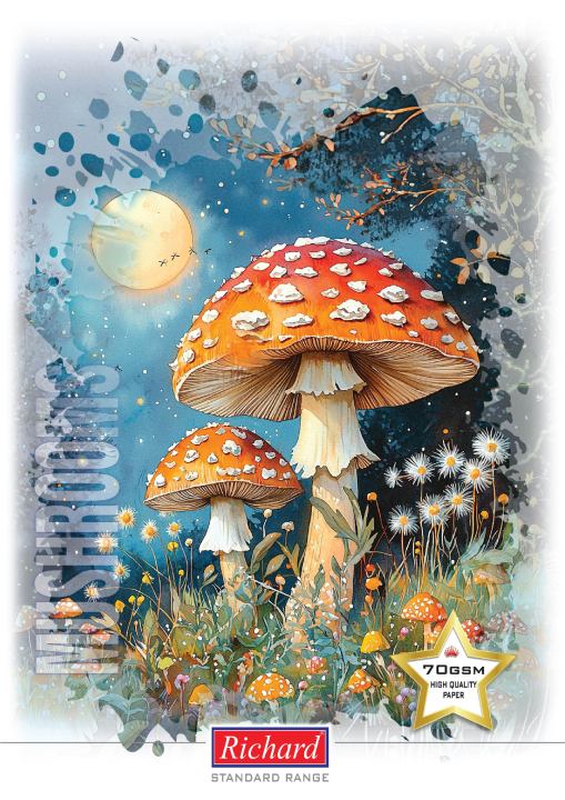 Richard%20Practical%20Book%20B5%20-%2080%20pgs%20Five%20Ruled%20(2cm)%20-%20Image%205