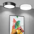 Led Ceiling Light Led Ceiling Down Spot  Lamp 5/10/15/25W Ceiling Lamp for Kitchen Light Living Room Home Lighting Fixture. 