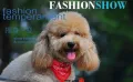 Universal Adjustable Pet Triangle Bandana Scarf Collar Neckerchief(Random Color). 