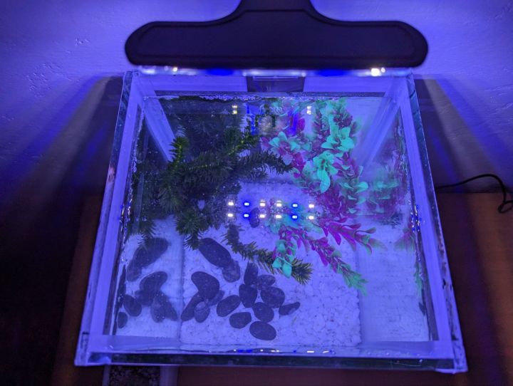 Large%20glass%20fish%20tank%20,%20white%20colour%20boder%20stiker.(12L%20Aquarium%20tank,Height%2040cm,width%2030cm%20x%2030cm)%20-%20Image%203