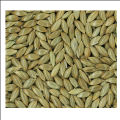 Canary Seeds Bird Food 1kg. 