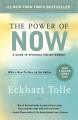 The Power of Now: A Guide to Spiritual Enlightenment by Eckhart Tolle. 