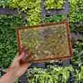 2X Resin Mold Silicone, Large Rectangle Rolling Tray Molds for Epoxy Resin, Resin Serving Board Mold with Edges. 