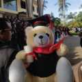 Graduation Teddy Bear Graduation Gift Toy Teddy Bear. 