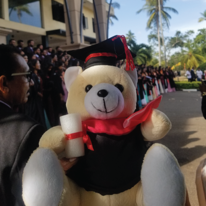 Graduation%20Teddy%20Bear%20Graduation%20Gift%20Toy%20Teddy%20Bear%20-%20Image%203
