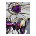 Single Speed Flywheel Conversion Kit 18T Cassette Cog Road Bike Sprocket for Freewheel Chain Easy to Use Red. 
