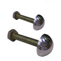 Door cap nuts with bolt nail Nickel color cover cap 30mm for wooden (pattag)  doors Sri Lanka. 