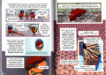 Science Comics The Digestive System Children S Full Color Comic STEM Full Color Encyclopedia Original English Books. 