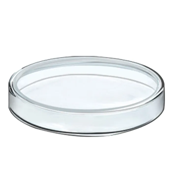 Petri%20Culture%20Dish%20Thickened%20Professional%20Glass%20Culture%20Dish%20-%20Image%204