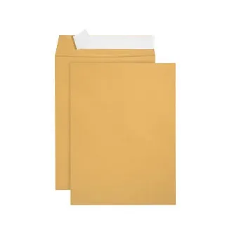 A4%20Size%20Paper%20Envelope,%2010%20x%2012%20inches,%20-%2010,%2050Pieces%20-%20Image%204