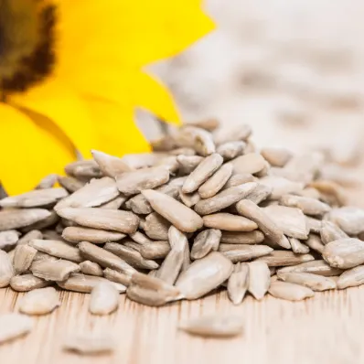 Sunflower%20Seeds%20-%20Image%204