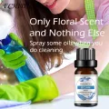 10ml Essential Oil Permeable Calm Emotion Non-Irritating Water Soluble Rose Diffuser Oil for Indoor. 
