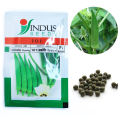 Okra 101 Soma F1 Hybrid Seeds බණ්ඩක්කා බීජ 10g. 