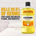 Listerine Mouthwash Oral Care  to Kill 99.9% of Germs That Cause Bad Breath 500ml 250ml. 