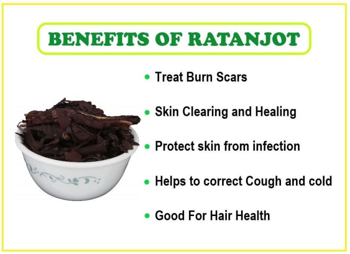 3V%20PRODUCTS%20Ratanjot%20Root%2050Gm%20-%20Whole%20Alkanet%20Root%20-%20Alkanna%20Tinctoria%20For%20Cooking,%20Hair%20Fall,%20Hair%20Growth,%20Skin%20Burns(FROM%20INDIA)%20-%20Image%205