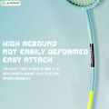 ALP Gemini T800 Carbon Fiber Badminton Racket Set (4U/G5) - Pre-Strung 22-24LBS, Installed Pro Grip | Beginner-Friendly & Student Rackets | Original Design. 