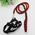 Small Adjustable Dog Harness and Outdoor Walking Nylon Dog Leash Lead Pets Dog Sale Durable Traction Training Rope Dog Belt Dog Chain Dog Body Belt Chest Belt Step-in Harness Strap Stainless Steel Metal Buckle Plastic Clasp Dog Collar Dog Strap Dogs Belt. 