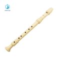 ♥AMAR♥ Soprano C Tunable Germany Type Recorder Flute Reed Pipe Woodwind Instruments. 
