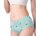 Girls Children Low-rise Physiological Period Leak Proof Menstrual Panties Floral Printing Cotton Underwear Breifs for Teenagers. 