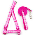 Medium Adjustable Dog Harness and Outdoor Walking Nylon Dog Leash Lead Pets Dog Sale Durable Traction Training Rope Dog Belt Dog Chain Dog Body Belt Chest Belt Step-in Harness Strap Stainless Steel Metal Buckle Plastic Clasp Dog Collar Dog Strap Dogs Belt. 