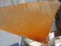 Red Top Brine Shrimp Eggs 20g with 95% Hatching Rate. 