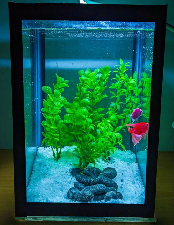 Large glass fish tank (8L Aquarium tank)