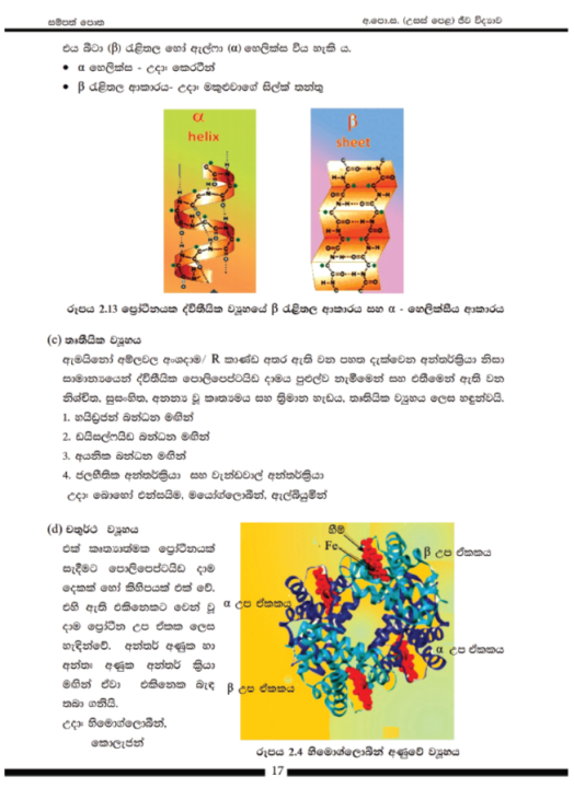 Biology%20%7C%20NIE%20Resource%20Book%20Grade%2012%20(Unit%201/5-i)%20Sinhala%20-%20Image%209