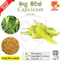 Capsicum Banana Pepper HYW Seeds Malumiris beeja Gardening Agriculture Home seed Grow Plant Vegetable. 