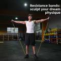 Resistance Bands Set with Handles Yoga Tubes Latex Pull Rope for Stretch Training Home Gym Workout. 