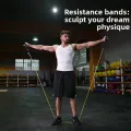 Resistance Bands Set with Handles Yoga Tubes Latex Pull Rope for Stretch Training Home Gym Workout. 