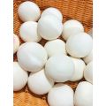 Toys Slow Rise Toy Rebound White Steamed Bun Milky New Product [Listing] Slow Pinch Stress Relief Squishy. 